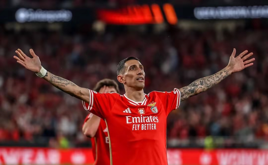 ayx关于社区盾今夜再迎强敌，本菲卡官宣签约，主帅态度——目标明确，资深球员宣示担当的信息